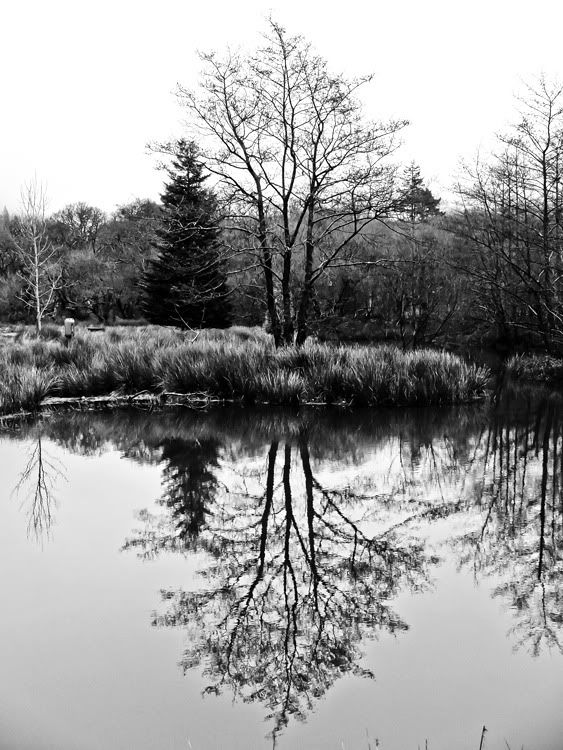 DSCF1218Small.jpg