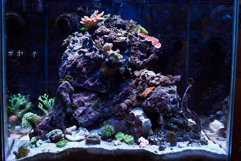 FTS.jpg