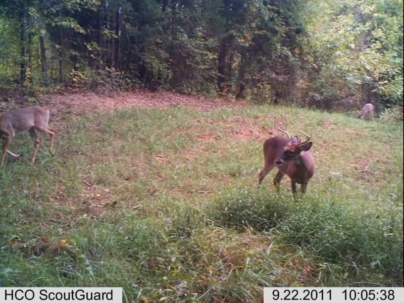 trailcam035-1.jpg