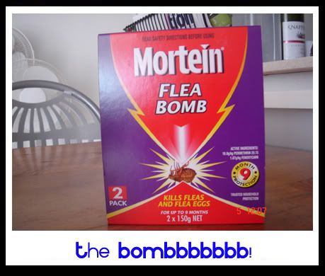 Mortein Bomb