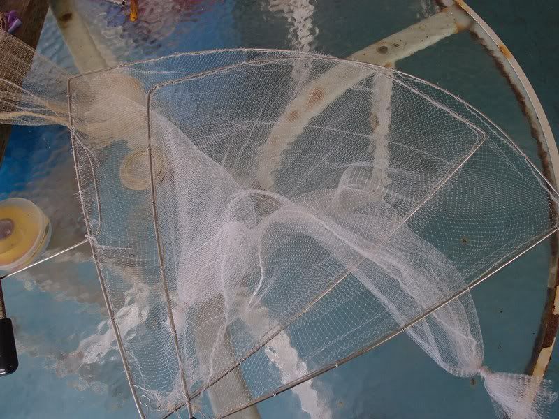 Tropical Fish Collection Net Catch Aquarium Fish Salt Water Collect Nets slurp 