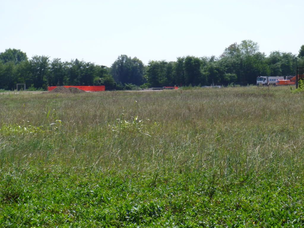 P1000576.jpg