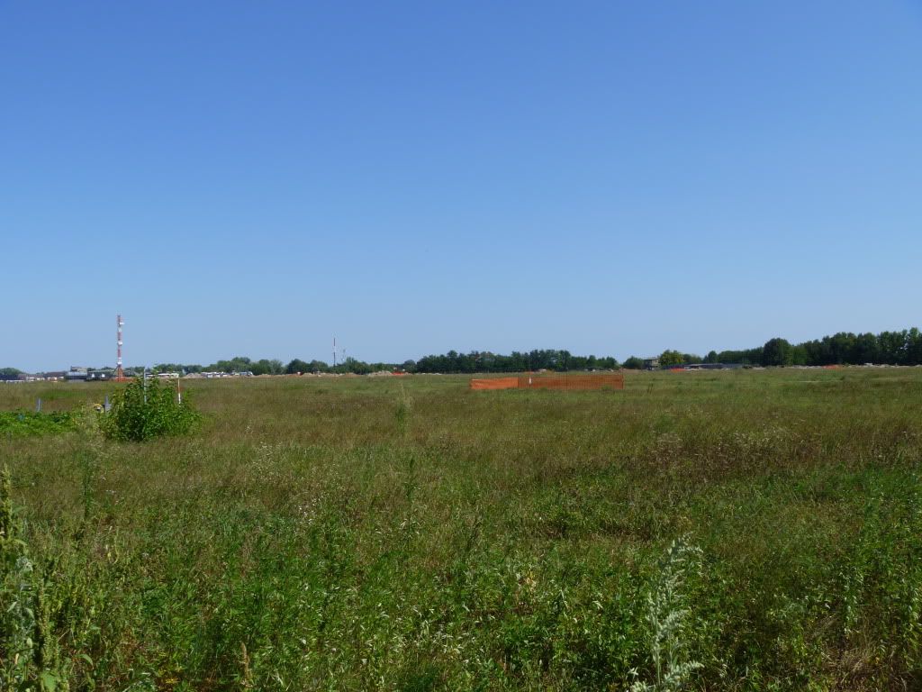 P1000577.jpg