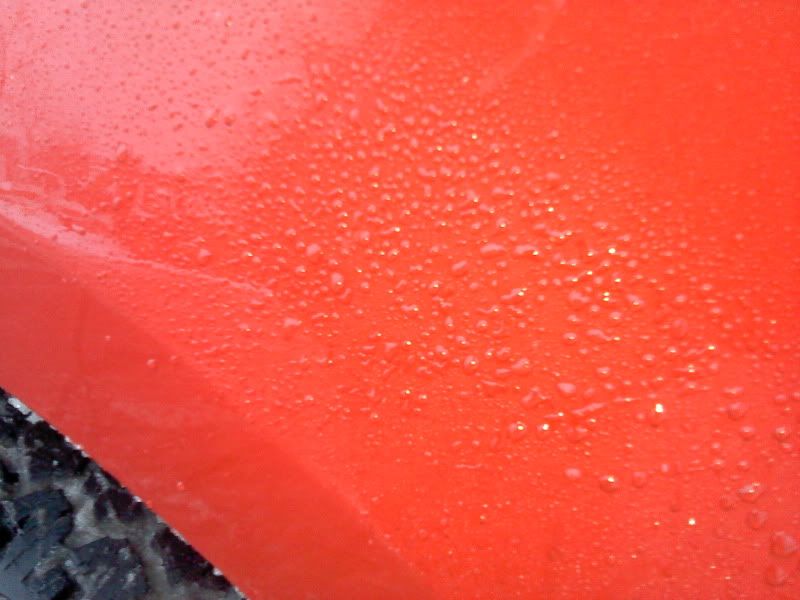 BeadingF150.jpg
