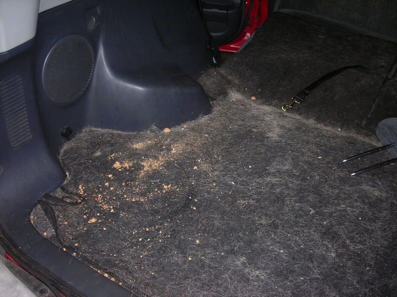 HondaCRVDetail002.jpg