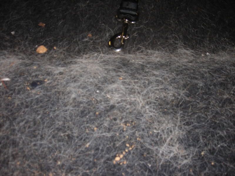 HondaCRVDetail005.jpg