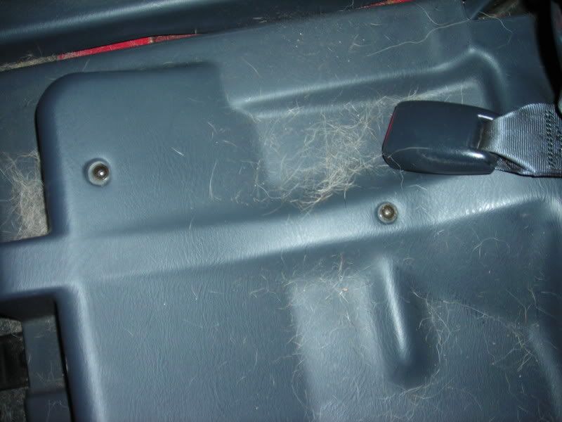 HondaCRVDetail013.jpg