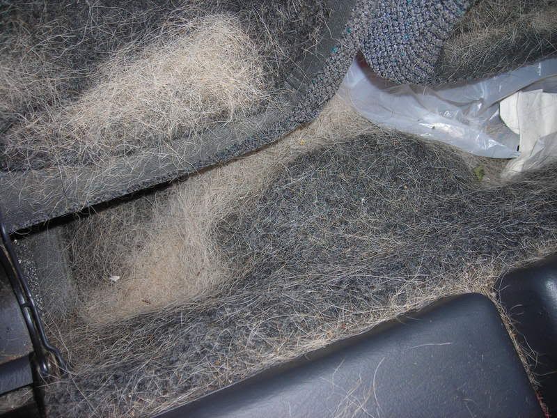 HondaCRVDetail014.jpg