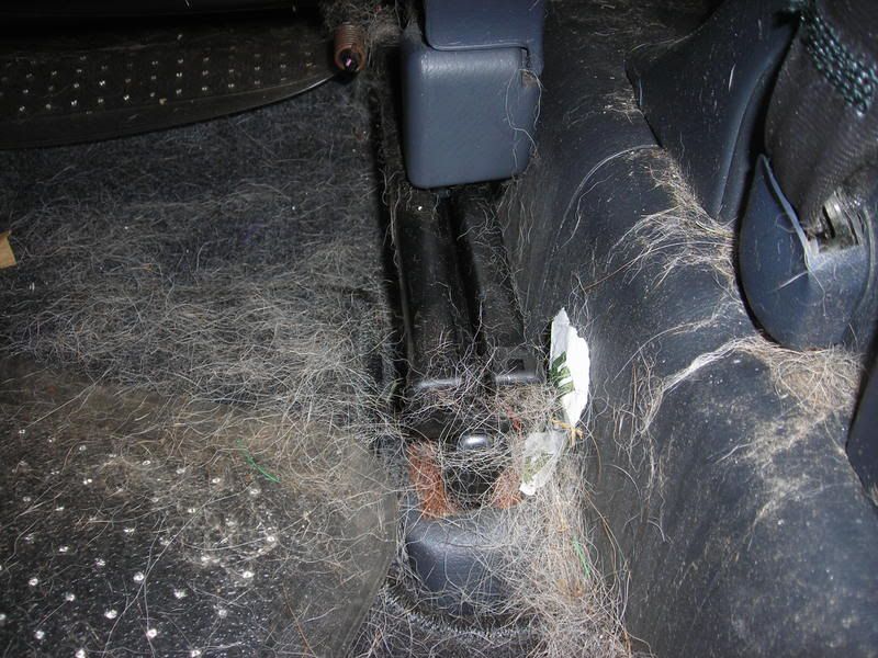 HondaCRVDetail023.jpg
