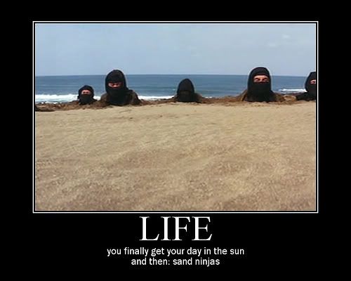 https://i143.photobucket.com/albums/r123/teflonshadow/SandNinjas.jpg