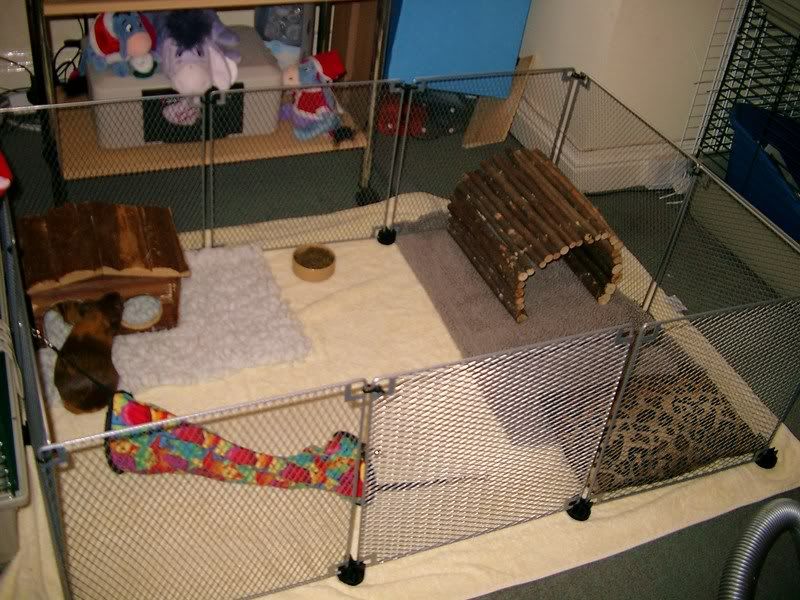 IMGP2136.jpg