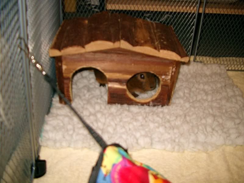 IMGP2137.jpg