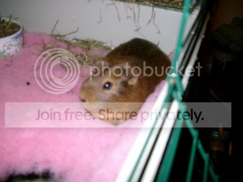 IMGP2207.jpg