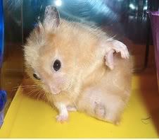 Yoga Nibbles Yoga Nibbles