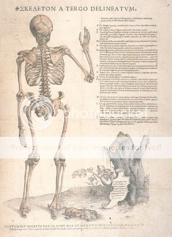  photo anatomicae_lg.jpg