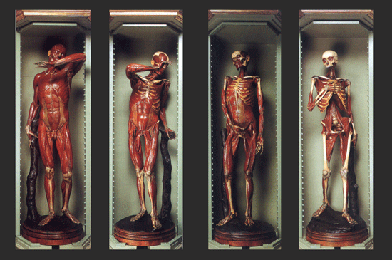 photo lelli-collection.gif
